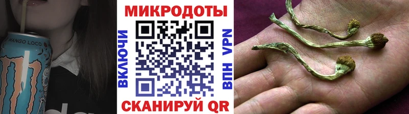 магазин    Калининград  Галлюциногенные грибы прущие грибы 