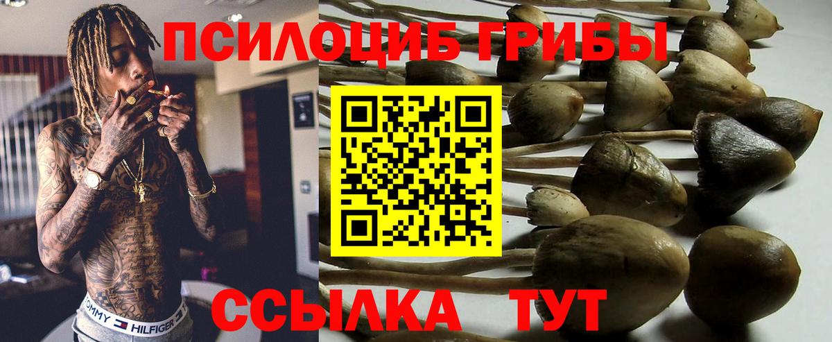 Галлюциногенные грибы мицелий Калининград