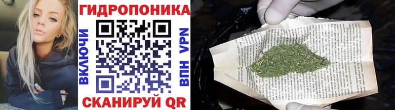 kraken зеркало  Калининград  Конопля AK-47 