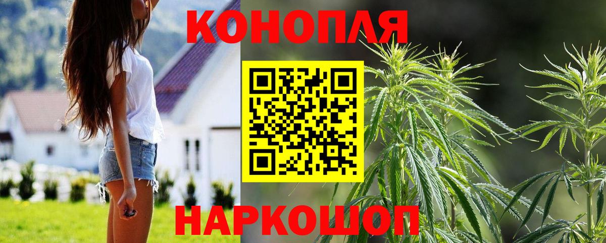 Бошки Шишки AK-47  Конопля Ganja  Калининград  Конопля индика  Вход с VPN  Канабис Amnesia 